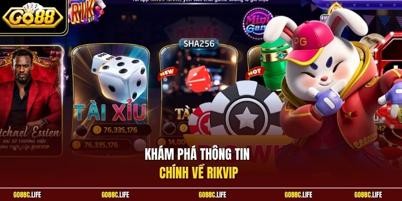 Khám phá thông tin chính về Rikvip 