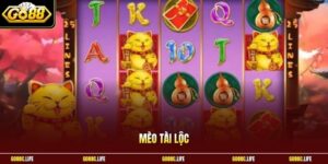 Mèo Tài Lộc